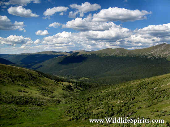 Click Picture to send as an  E-PostCard 66k 550x412
